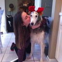 lillydog12