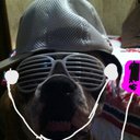 magmissy