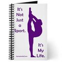 gymnast01
