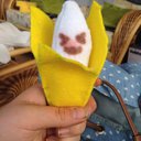 minionjess