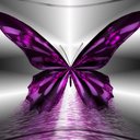 tracey51