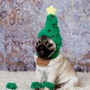 OrigamiPug