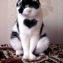 Janet_love