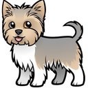 ponni
