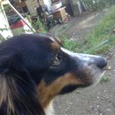 MeliK