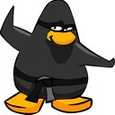 ninja1212
