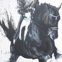 horse2002