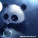 Panda2004