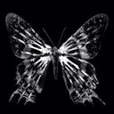 butrflyjen