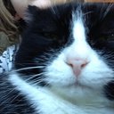 NatIsCat10