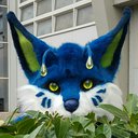 Abyssora