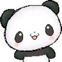 pandapoop