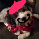 moomoo427