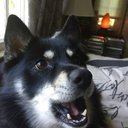 sheagilm