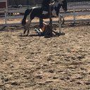 horsygirl