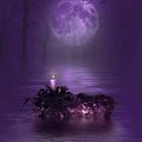 wildmoon