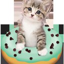 Creatorcat