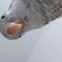 BluQuaker