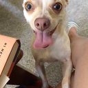 sophiaOof