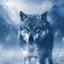 pantherhus