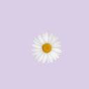 courtney_h