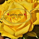 YellowRose