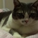 rosiebuddy