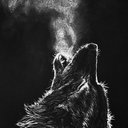 dxrkwolf02