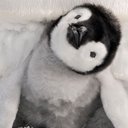Fluffball