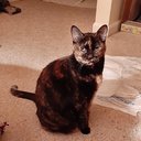 Nim