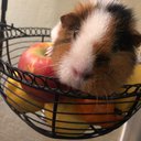 Daisy123