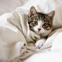 Eve_flute