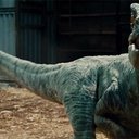 ERaptor242