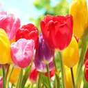 lovelybud1