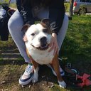 AnnieBruh