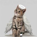 kitkatkyky