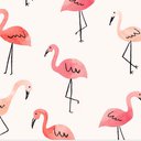 Flamingo34