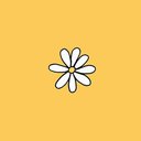 sunnylemon