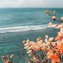 beachlife