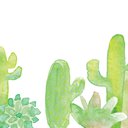 cactus1023