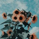 Rupali_C