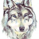 SheWolf430