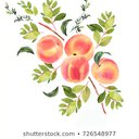 Peachbloom
