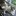 lexusedge