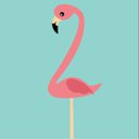 flamingo24
