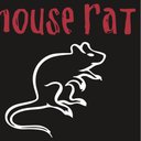mouse-rat