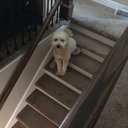 harper_sue