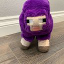 sheeps