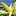 K_Corn07