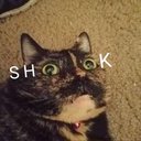 cryptidkit